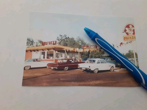 Dog suds drive in - dog, drive-in