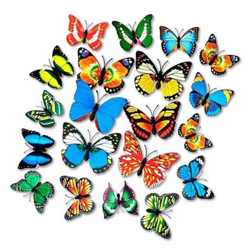 Pcs butterfly magnets - butterfly, for