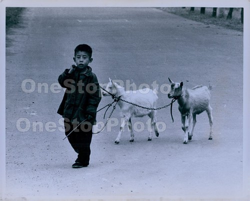 1971 china young - china, boy