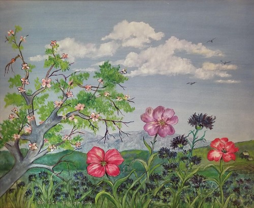 Bresci thompson wildflowers - bresci, thompson,