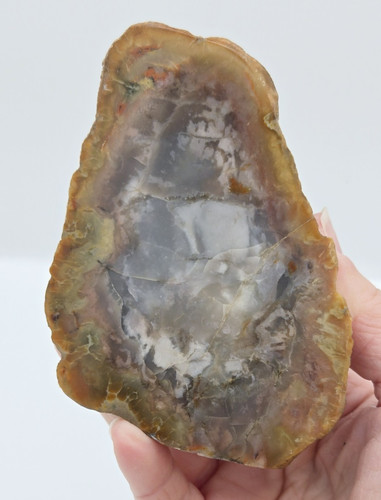 Big colorful kentucky - colorful, agate