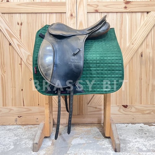 Stubben romanus dressage - romanus,