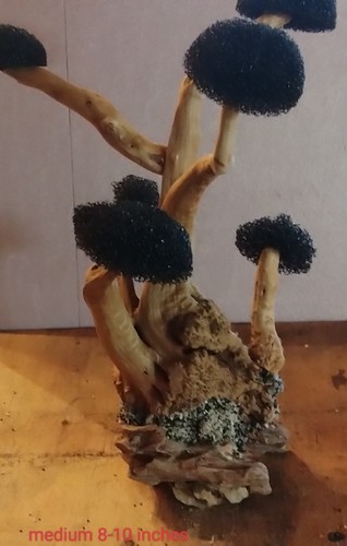 Aquarium driftwood bonsai - aquarium, tree