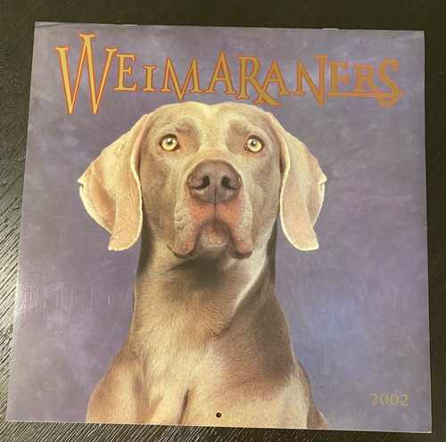 Vintage weimaraners dog - weimaraners, wall