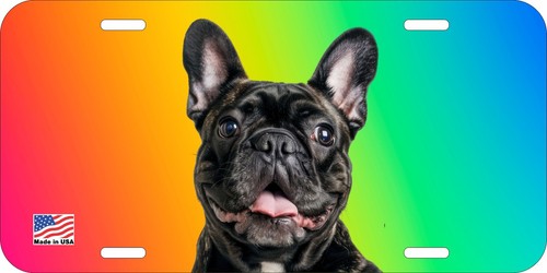 French bulldog brindle face - french,