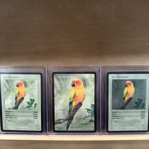 Sun parakeet life tcg pop - tcg,