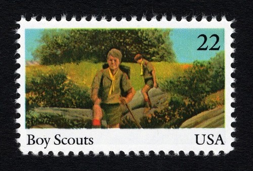 20x boy scouts scouting - 20x,