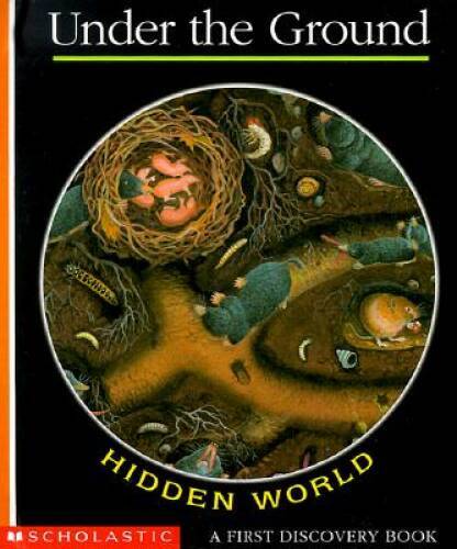 Hidden world under the - hidden,