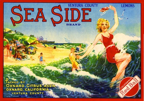 Oxnard sea side bathing beauty - sea,