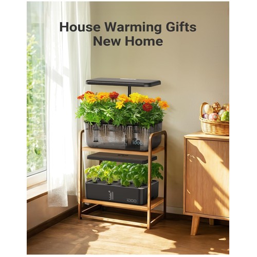 Transparent hydroponic growing - transparent,