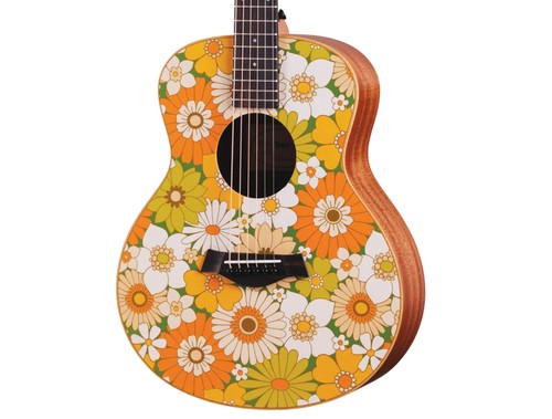 Taylor mini special - taylor,