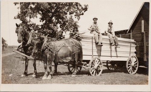 Horses wagon with lumber - &,