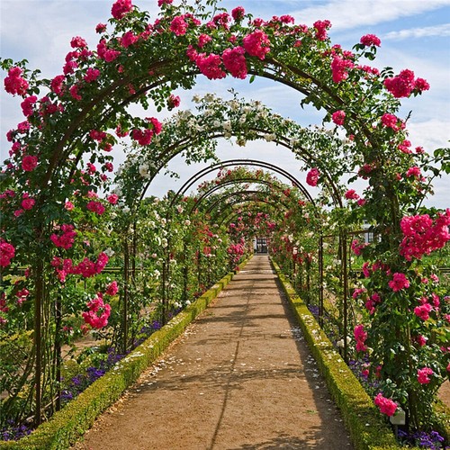 Heavy duty metal garden - heavy,