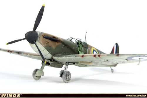 Pro built airplane model - pro,