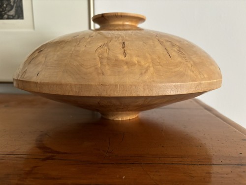Beautiful large maple burl - large,