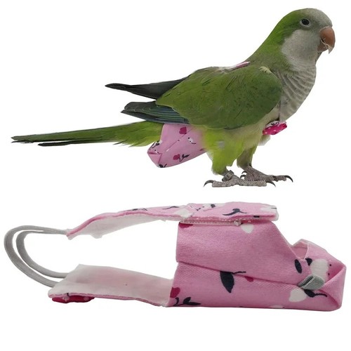 Colorful parrot diaper bowtie - parrot,