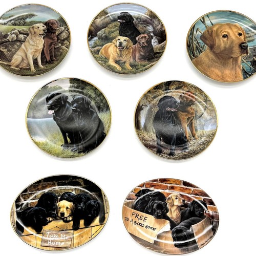 Franklin mint labrador - mint,