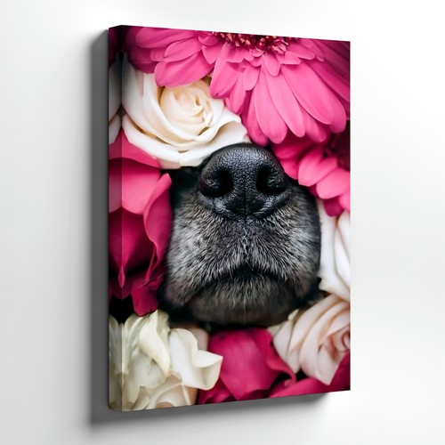 Wall art dog nose close - dog, up