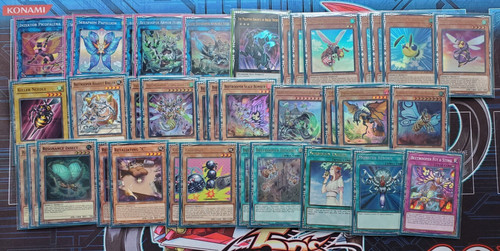 Yugioh beetrooper insect deck - beetrooper,