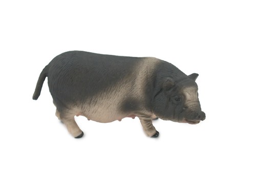 Pig vietnamese pot bellied - vietnamese, pot-bellied