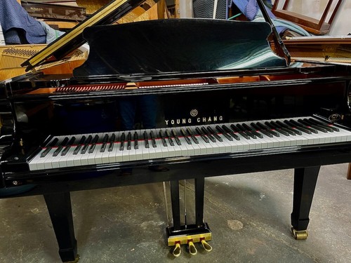 Young chang g185 grand piano - chang,