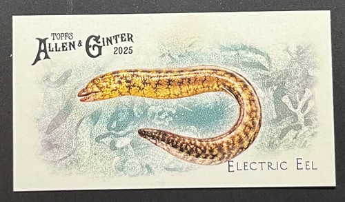 2025 topps allen ginter - topps,