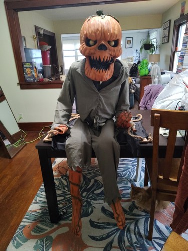 Pumpkin nester spirit - nester,