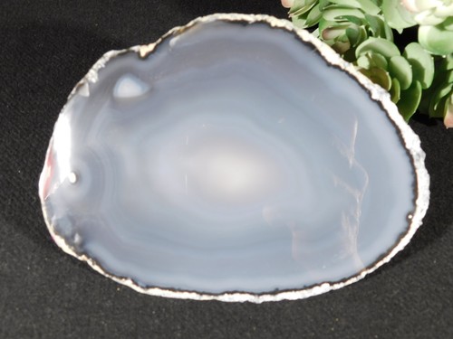 Polished banded agate slice - agate, or