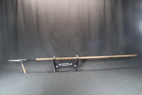 Functional walking stick - walking,
