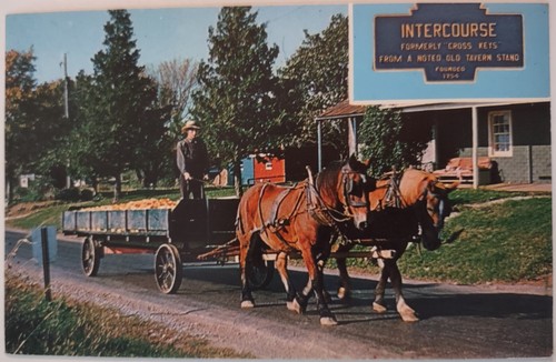 Vintage postcard horses wagon - horses,