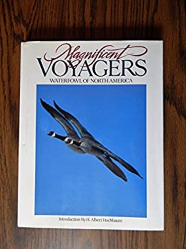Magnificent voyagers - magnificent,