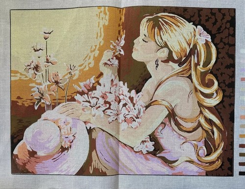Printed needlepoint tapestry - printed,