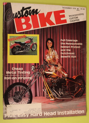 Custom bike november - bike,