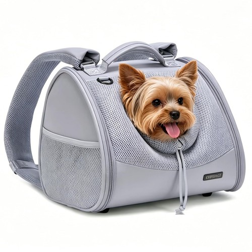 Small dog cat - dog,
