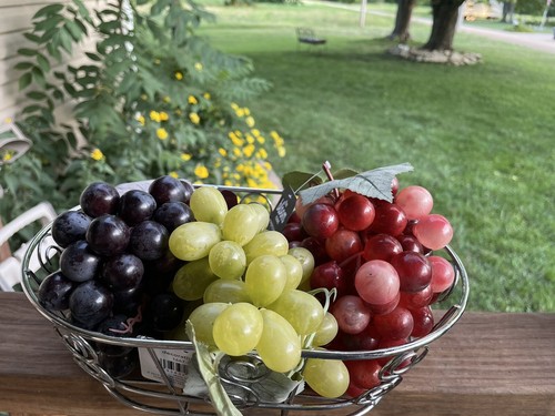 Silver wire basket bundles - basket,