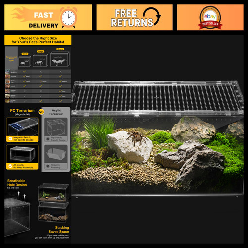 Large escape proof tarantula - large,