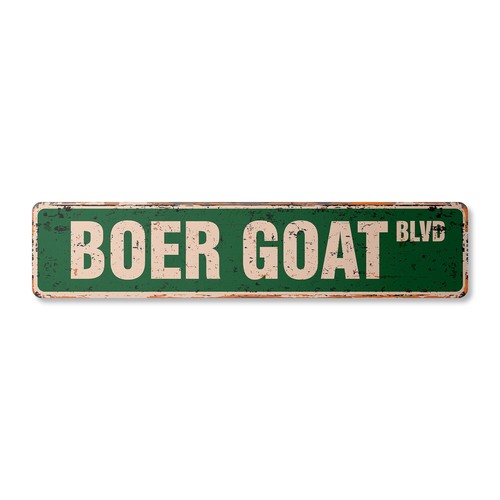 Boer goat vintage - vintage, street