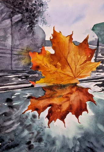 Autumn orange leaf puddle - leaf,