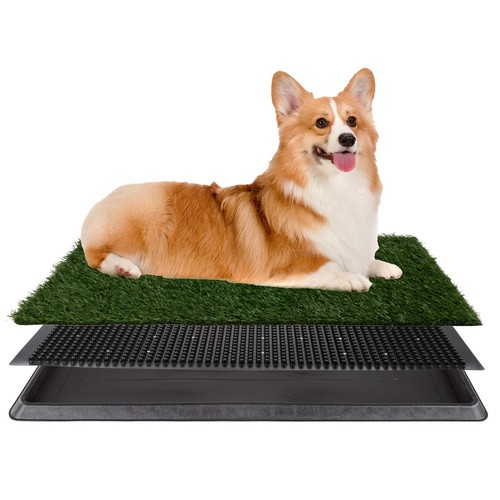 Artificial grass puppy - artificial,