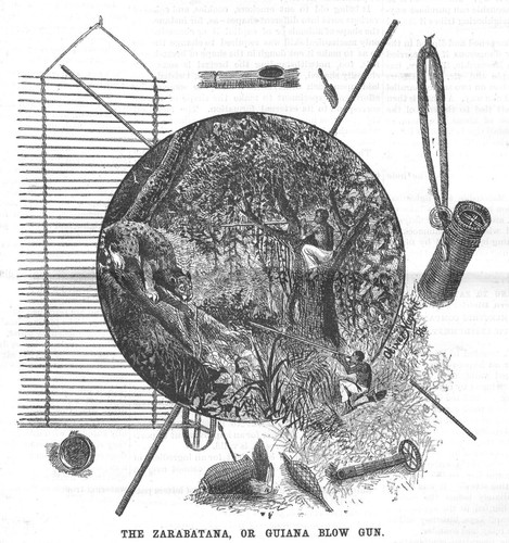 The zarabatana - the,