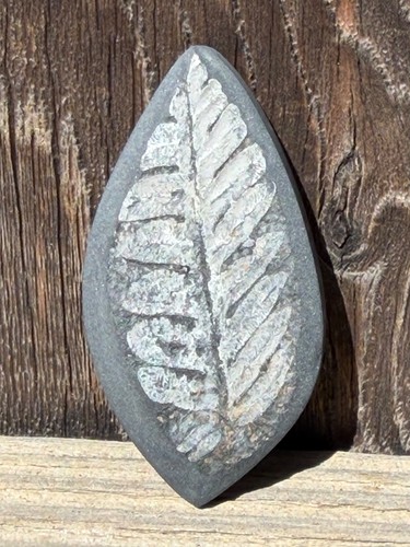 Fossil fern cabochon clair - fossil,