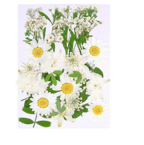 White real natural - real,