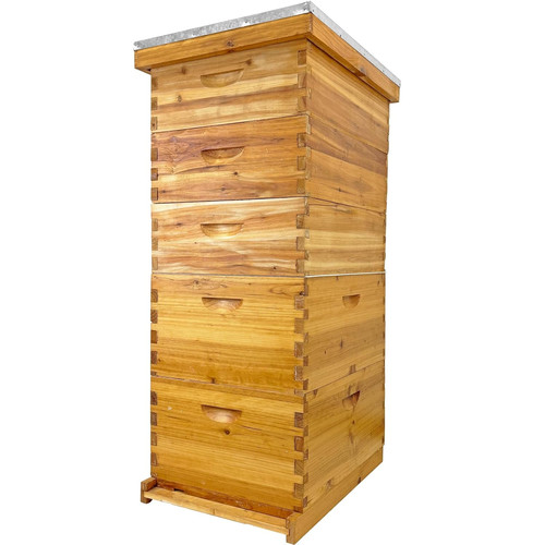 Layer langstroth beehive - langstroth,