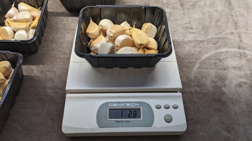 Elephant garlic cloves 1lb - garlic,