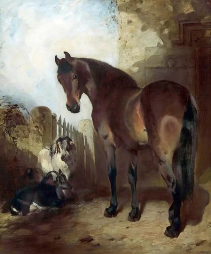Animal horse with goats - horse,