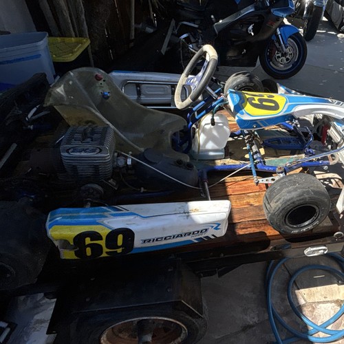 Ricciardo gas racing kart - ricciardo,