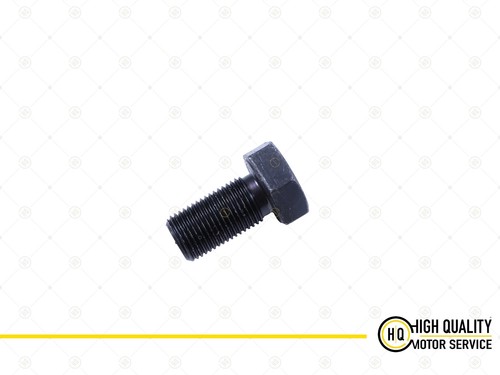 Crankshaft pulley bolt - crankshaft,