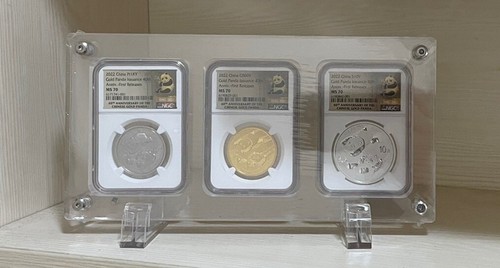 Grids acrylic display case - 3,