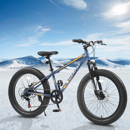 Inch fat tire - 24,