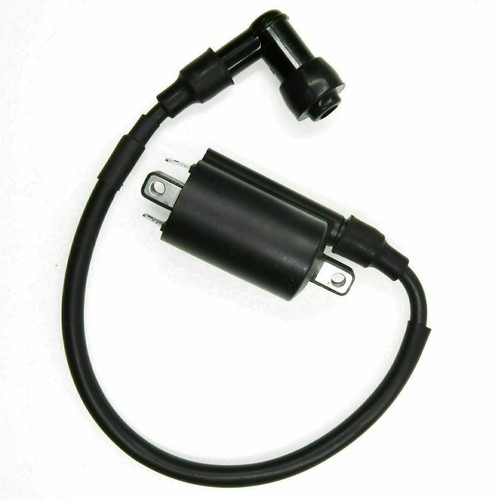 Ignition coil module for - module,